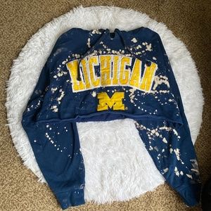 University Of Michigan Custom Cropped Hoodie